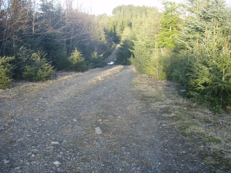 Name:  P2164419.jpg
Views: 16
Size:  137.0 KB