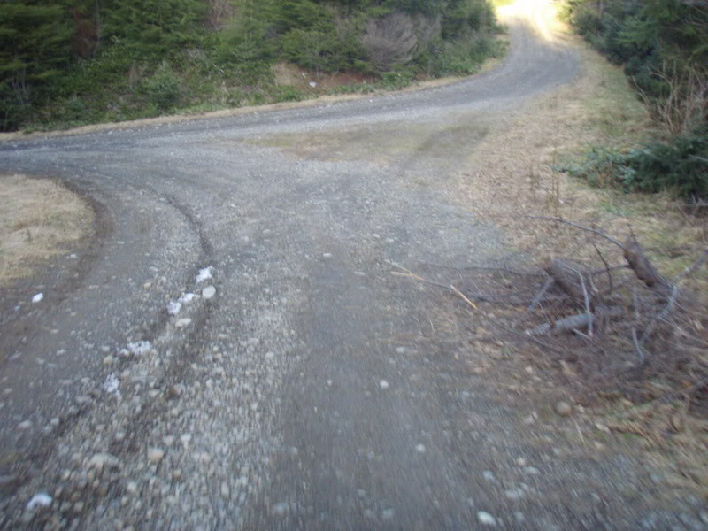 Name:  P2164422.jpg
Views: 10
Size:  96.5 KB