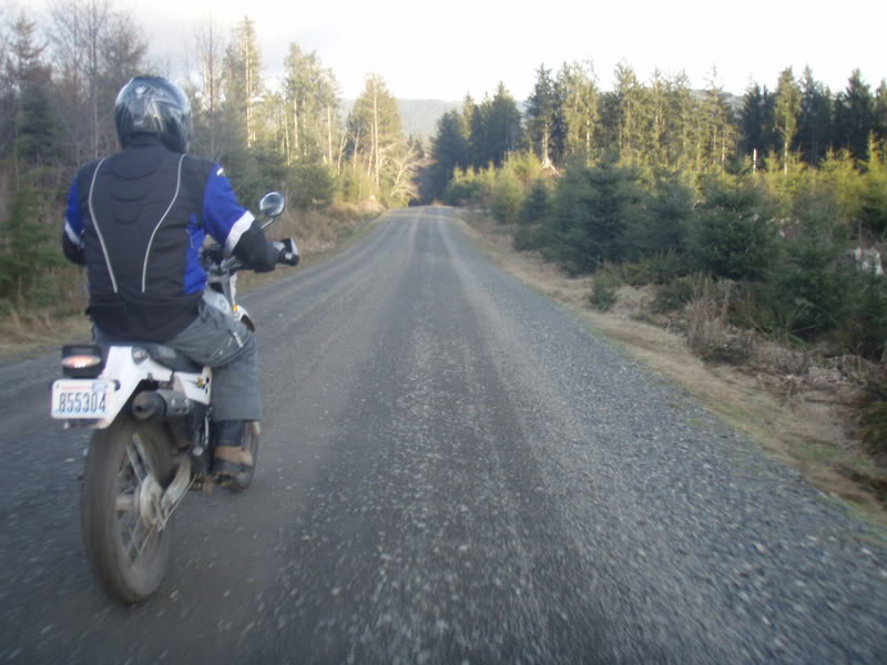 Name:  P2164438.jpg
Views: 12
Size:  82.0 KB