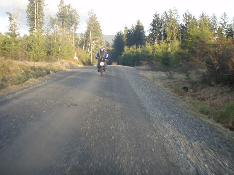 Name:  P2164439.jpg
Views: 13
Size:  94.6 KB