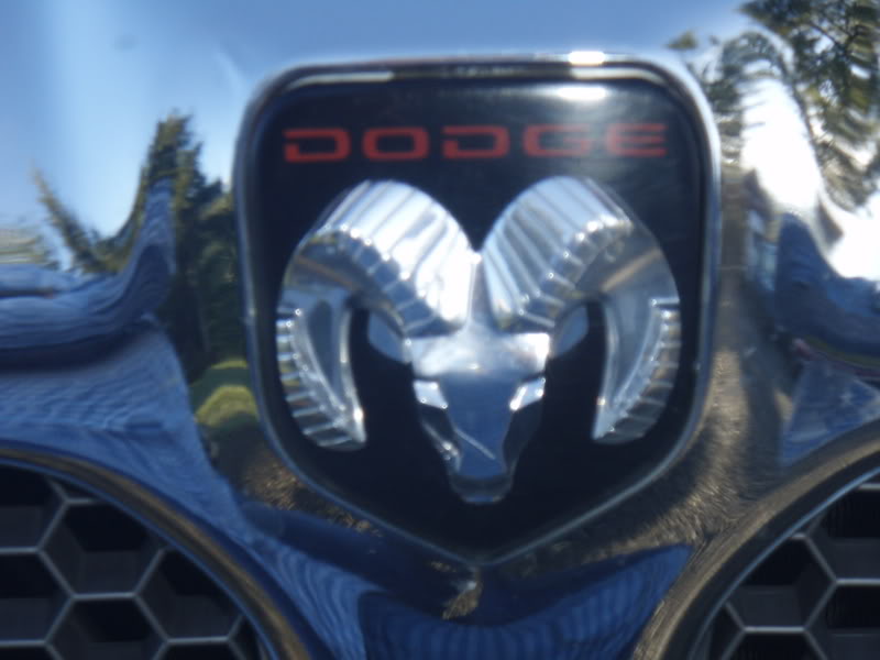 Name:  P2174469.jpg
Views: 11
Size:  54.0 KB