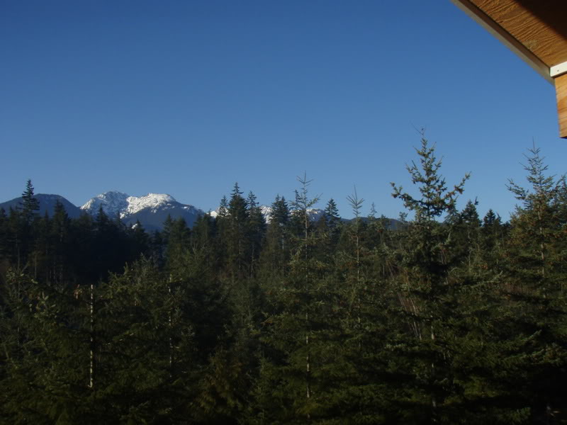 Name:  P2174478.jpg
Views: 12
Size:  69.9 KB