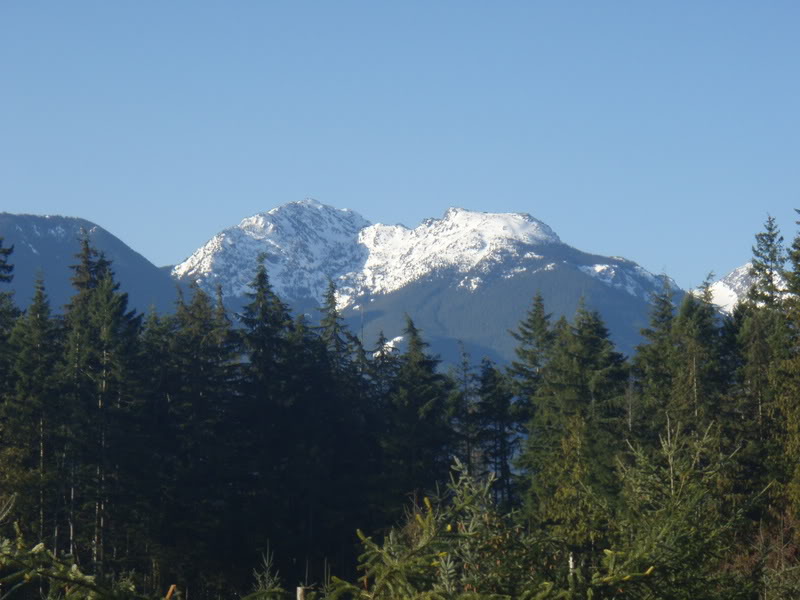 Name:  P2174473.jpg
Views: 12
Size:  75.1 KB