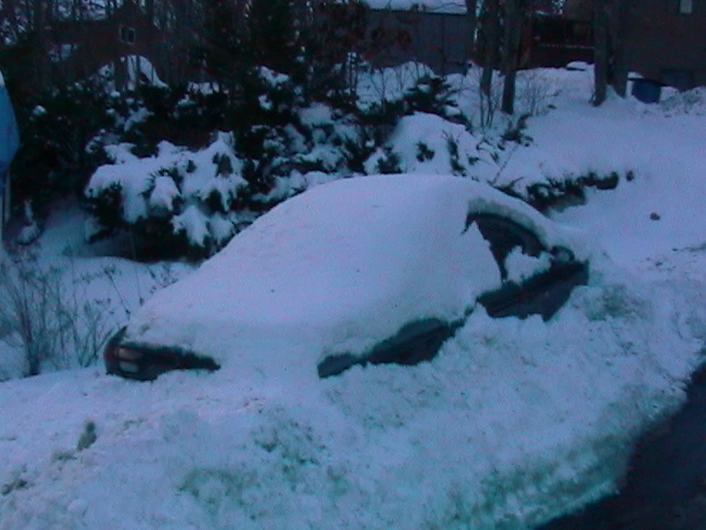 Name:  IMG_0460.jpg
Views: 31
Size:  101.6 KB