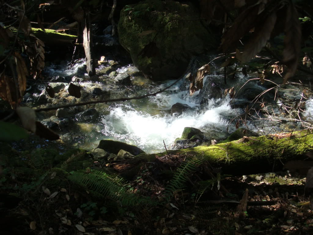 Name: DSC03717.jpg
Views: 14
Size: 181.4 KB