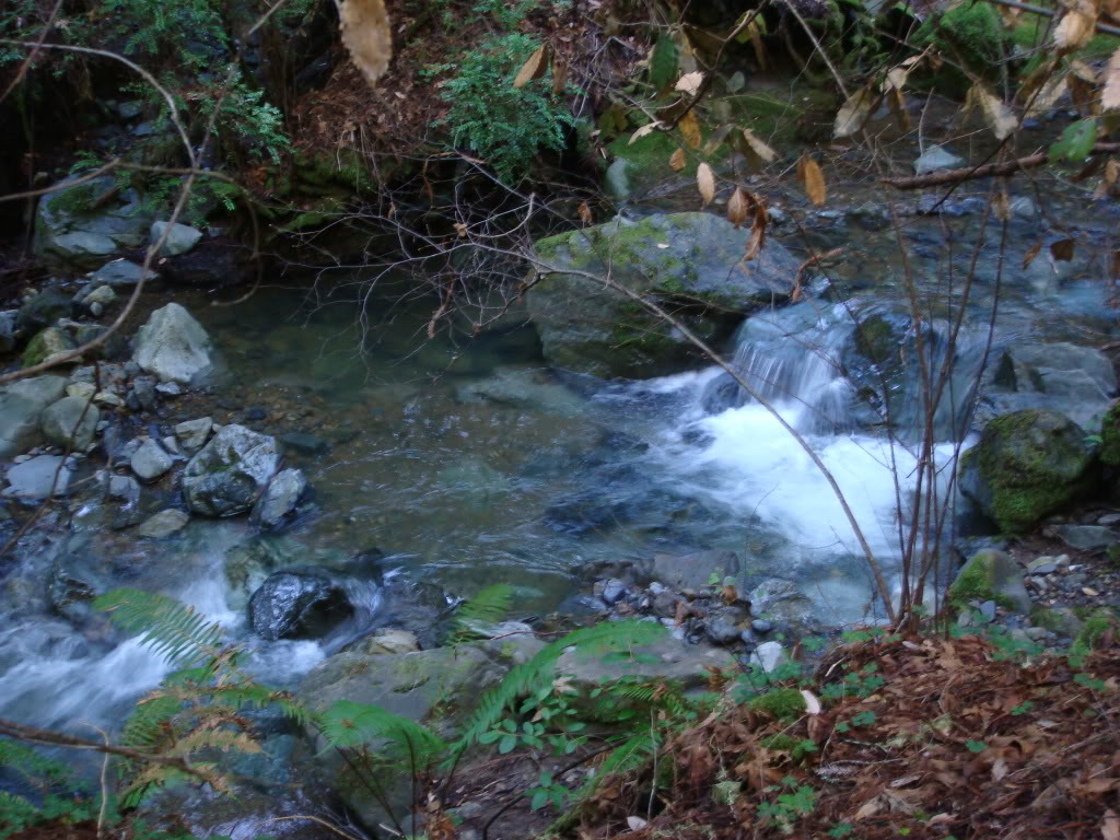 Name: DSC03706.jpg
Views: 16
Size: 195.0 KB