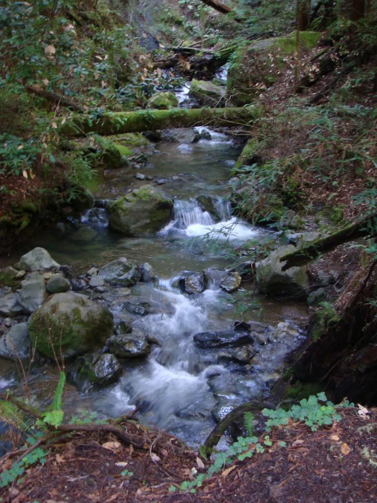 Name: DSC03702.jpg
Views: 16
Size: 208.5 KB
