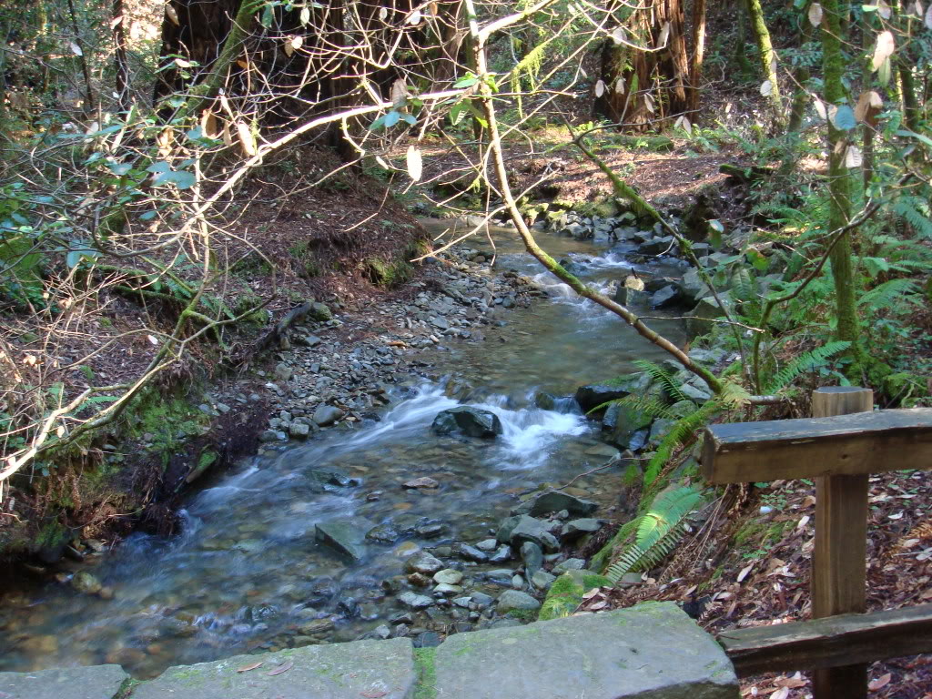 Name: DSC03677.jpg
Views: 16
Size: 282.6 KB