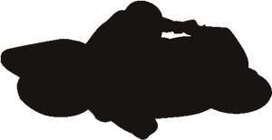 Name:  motorcycle2.jpg
Views: 17
Size:  3.0 KB