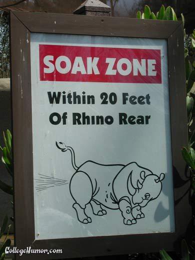 Name:  116858-rhinospray.jpg
Views: 16
Size:  27.4 KB