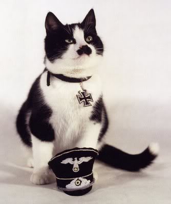 Name:  kitler3.jpg
Views: 11
Size:  14.6 KB