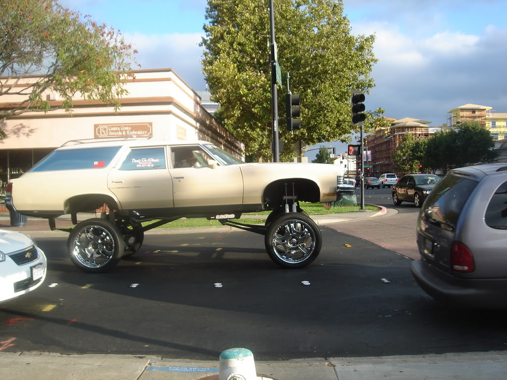 Name:  DSC03580.jpg
Views: 18
Size:  164.0 KB