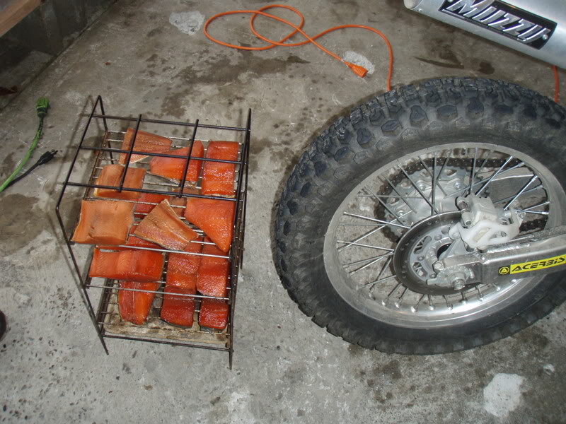 Name:  PB164039.jpg
Views: 14
Size:  118.0 KB