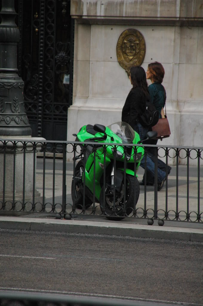 Name:  DSC_0431.jpg
Views: 20
Size:  131.0 KB