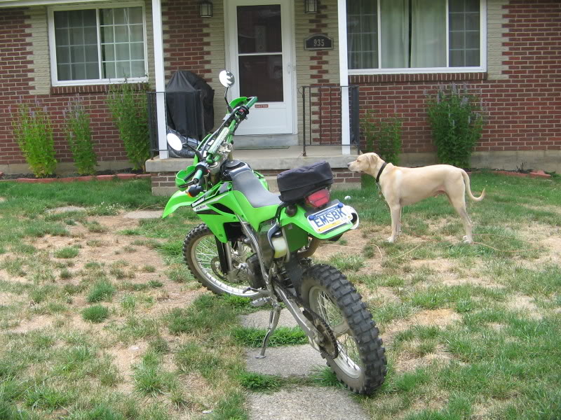 Name:  newbike010.jpg
Views: 16
Size:  155.0 KB