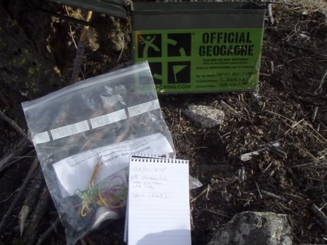 Name:  PA153782.jpg
Views: 29
Size:  67.5 KB