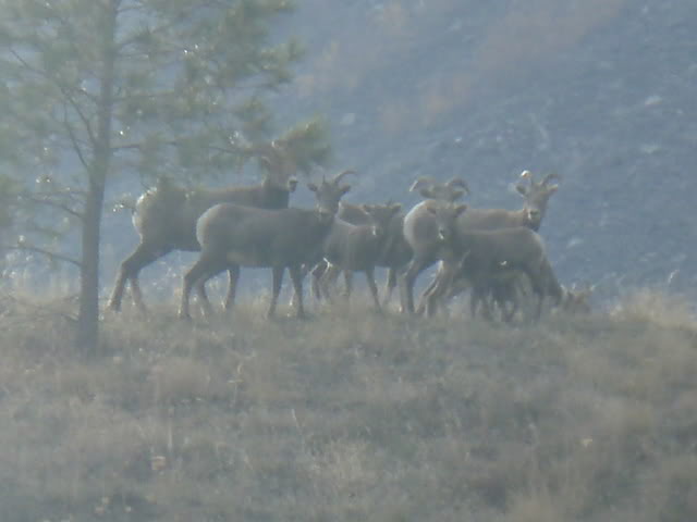 Name:  PA153788.jpg
Views: 26
Size:  30.5 KB