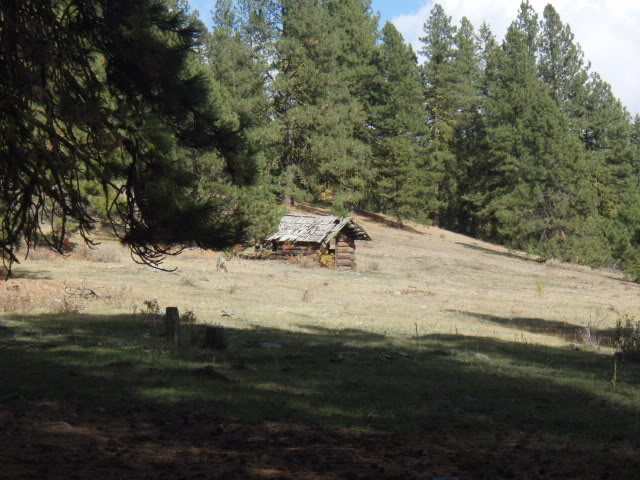 Name:  PA163805.jpg
Views: 29
Size:  88.0 KB