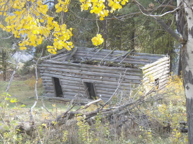 Name:  PA163815.jpg
Views: 26
Size:  106.3 KB