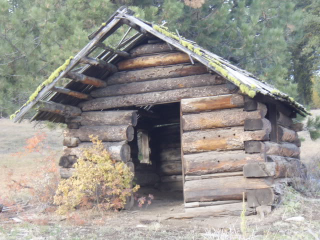 Name:  PA163808.jpg
Views: 22
Size:  91.3 KB