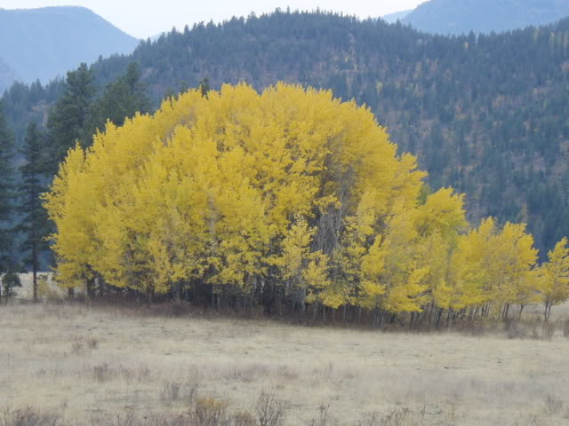 Name:  PA153777.jpg
Views: 29
Size:  68.2 KB