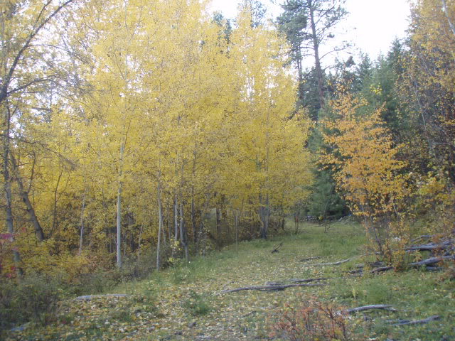 Name:  PA163823.jpg
Views: 28
Size:  104.1 KB