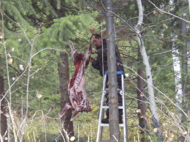 Name:  PA163838.jpg
Views: 25
Size:  91.8 KB