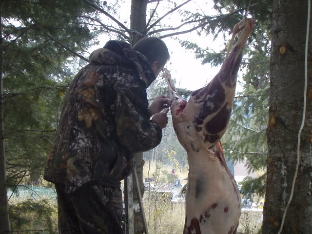 Name:  PA163840.jpg
Views: 26
Size:  75.6 KB