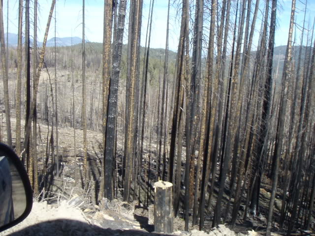 Name:  PA143737.jpg
Views: 25
Size:  99.2 KB