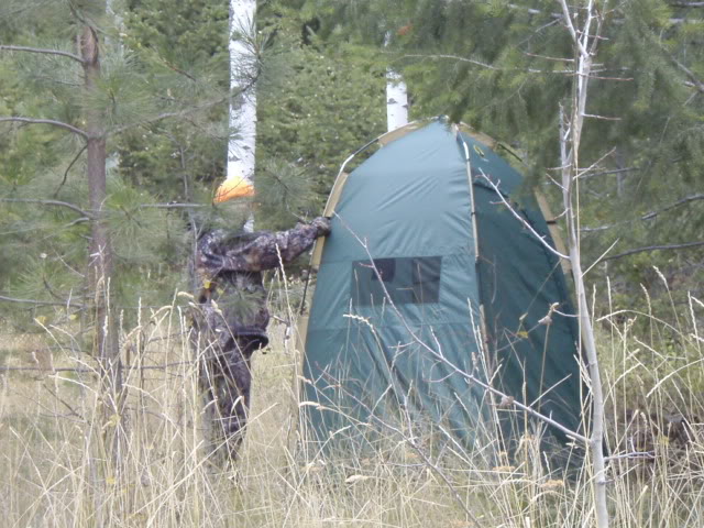 Name:  PA163854.jpg
Views: 26
Size:  91.7 KB