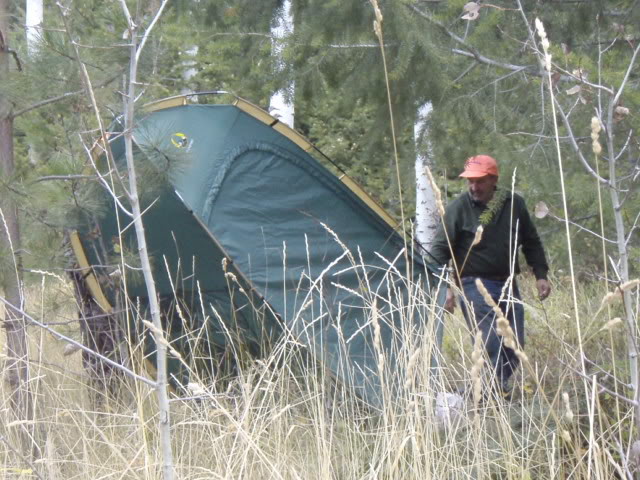 Name:  PA163855.jpg
Views: 22
Size:  96.8 KB