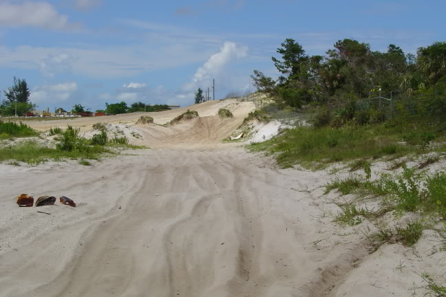 Name:  pics075.jpg
Views: 13
Size:  53.7 KB