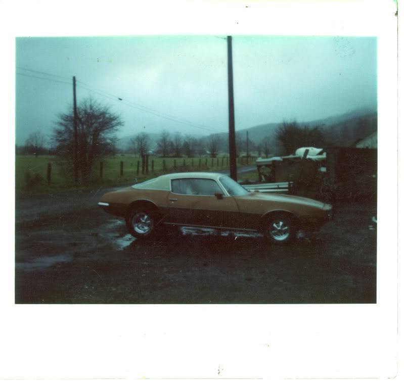 Name:  71Firebirdedited.jpg
Views: 18
Size:  46.4 KB