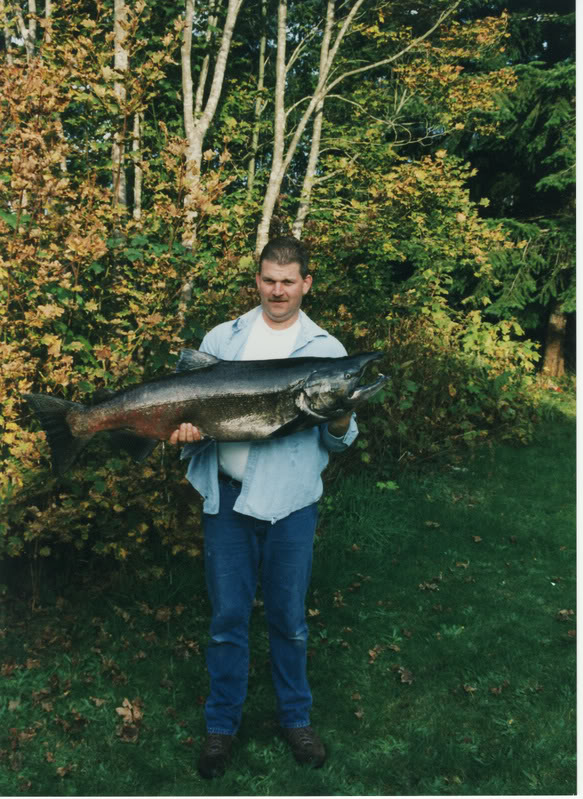 Name:  40lbking.jpg
Views: 18
Size:  141.1 KB