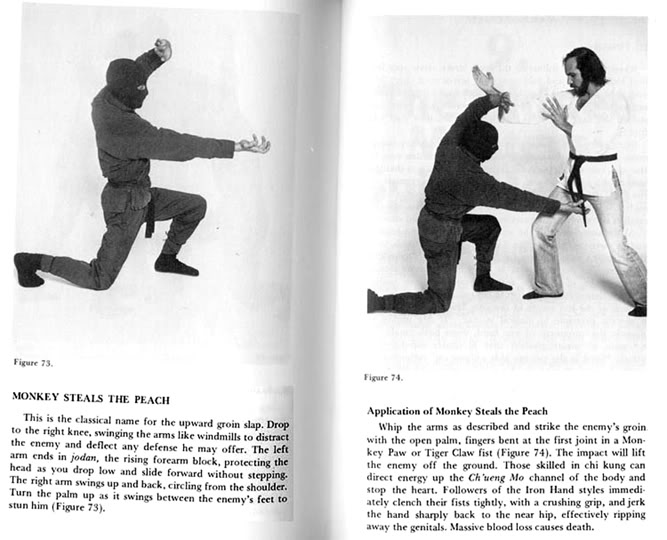 Name:  monkeystealsthepeach.jpg
Views: 41
Size:  62.1 KB