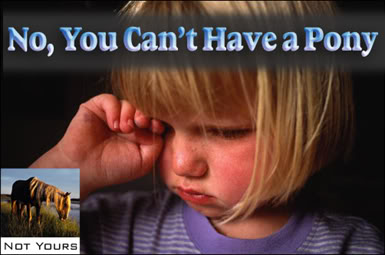 Name:  3129629-nopony.jpg
Views: 14
Size:  24.0 KB