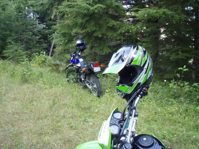 Name:  P8242865.jpg
Views: 24
Size:  100.5 KB