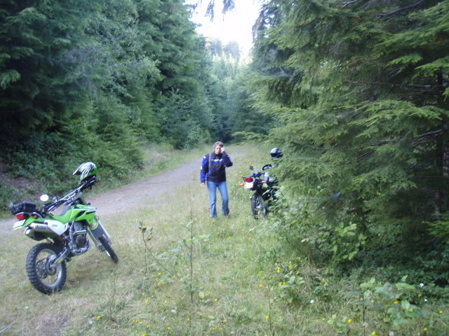 Name:  P8242864.jpg
Views: 23
Size:  95.0 KB