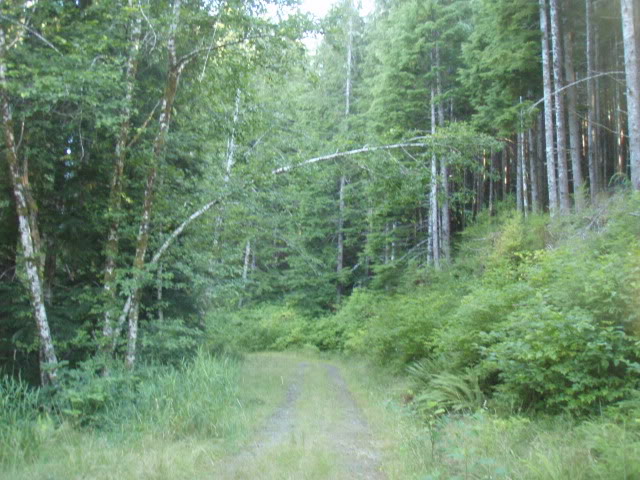 Name:  P8242879.jpg
Views: 22
Size:  89.2 KB