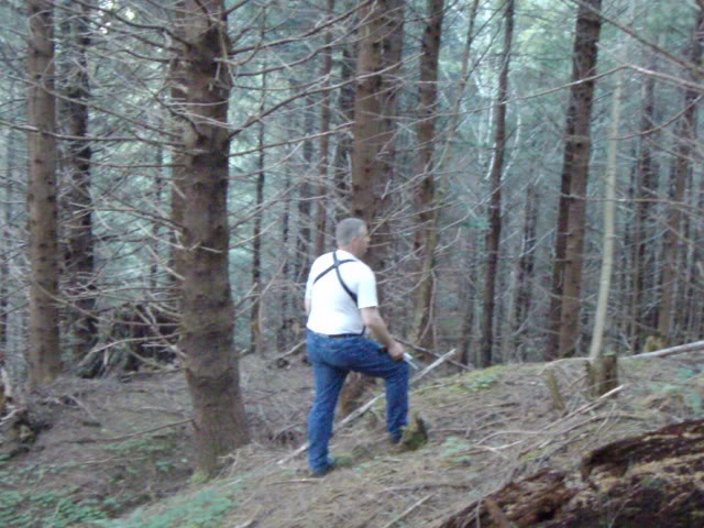 Name:  P8242889.jpg
Views: 22
Size:  79.6 KB