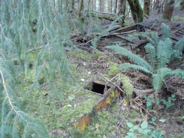 Name:  P8242871.jpg
Views: 22
Size:  82.7 KB