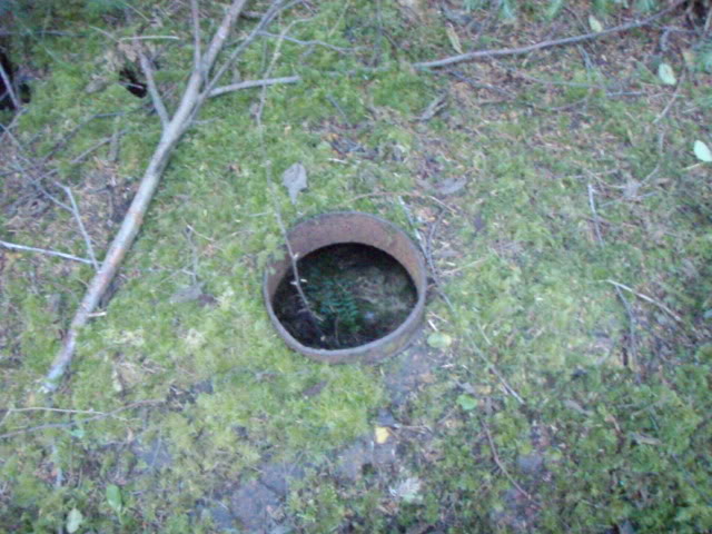 Name:  P8242870.jpg
Views: 19
Size:  80.6 KB