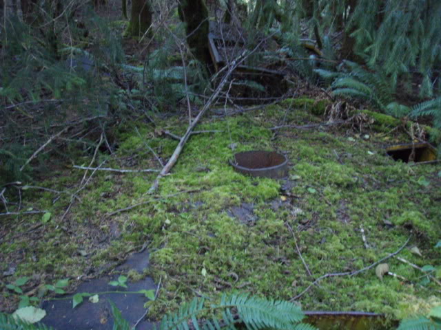 Name:  P8242868.jpg
Views: 23
Size:  84.4 KB