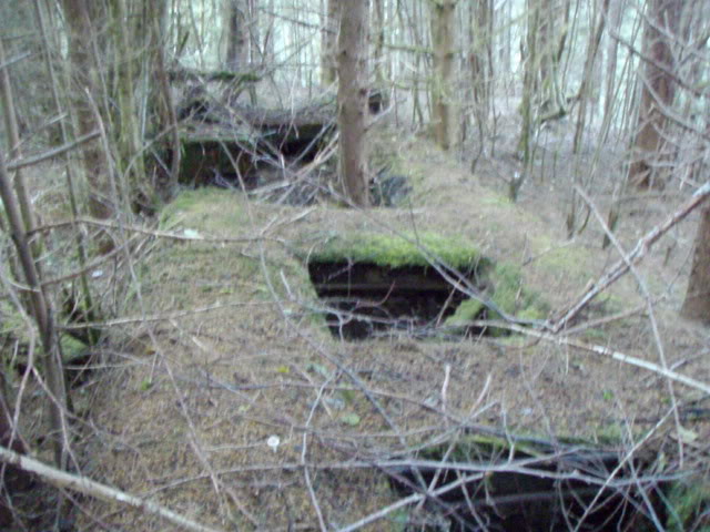 Name:  P8242882.jpg
Views: 23
Size:  77.6 KB