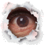 Name:  Peeper.gif
Views: 16
Size:  11.8 KB