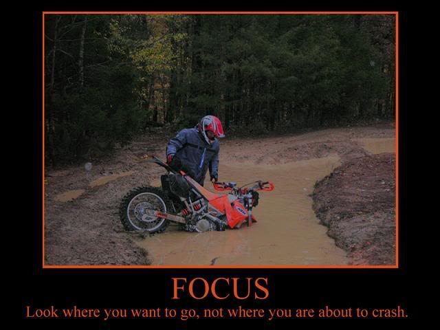 Name:  3339274-focuswithrogerbyterryt.jpg
Views: 14
Size:  39.3 KB