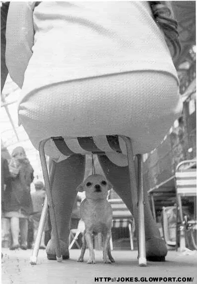 Name:  284460-deathwis_1_.gif
Views: 12
Size:  182.3 KB