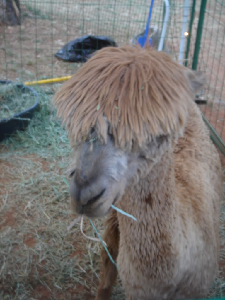 Name:  DSC03516.jpg
Views: 18
Size:  82.9 KB