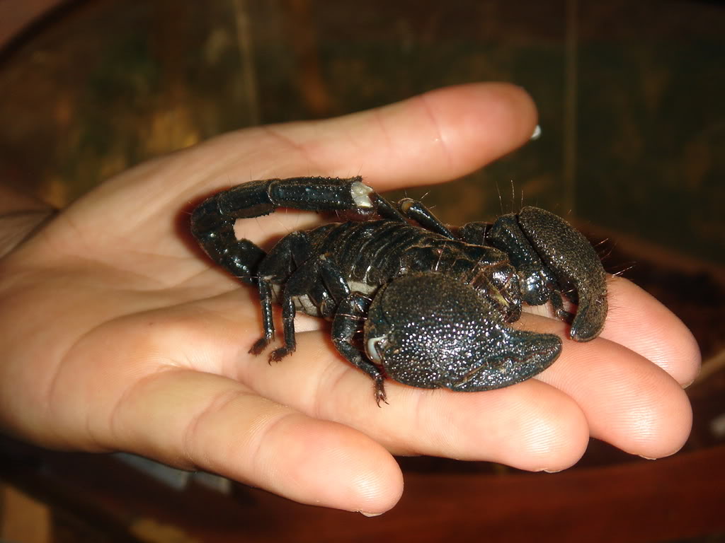 Name:  DSC03512.jpg
Views: 18
Size:  94.5 KB