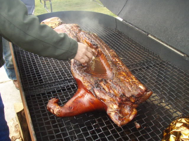 Name: P8102275.jpg
Views: 34
Size: 85.9 KB